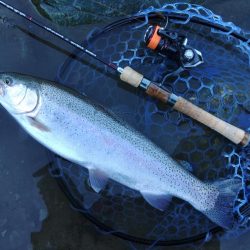 なかなか厳しい天竜川